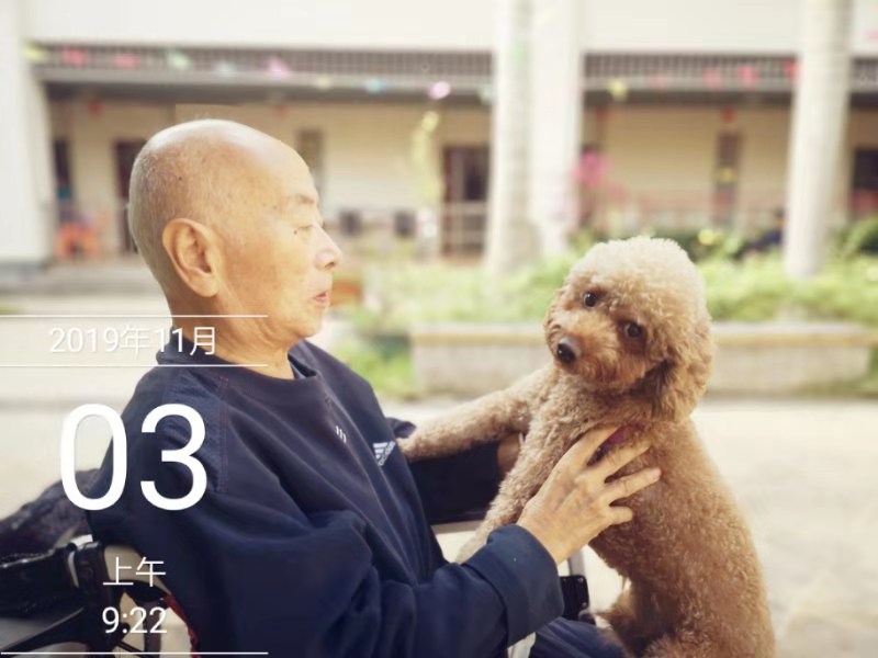 女儿带小家庭成员来看爷爷